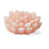 Rose est en rupture de stock