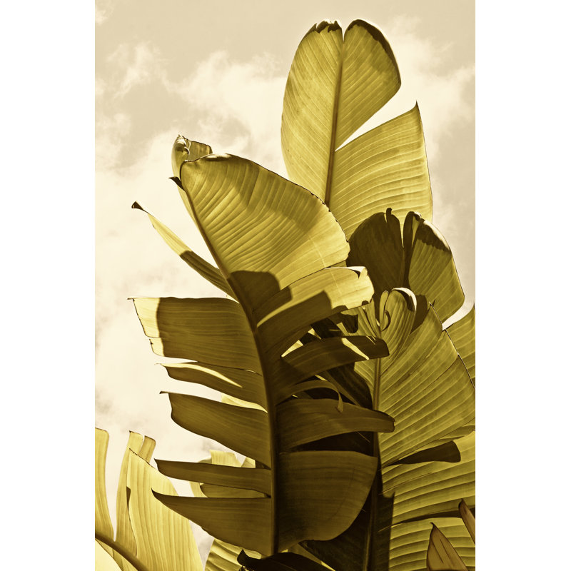 Feuilles de palmier IV, H 12 po x l 8 po x P 1,25 po