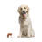 Somersall Animals Figurines & Sculptures