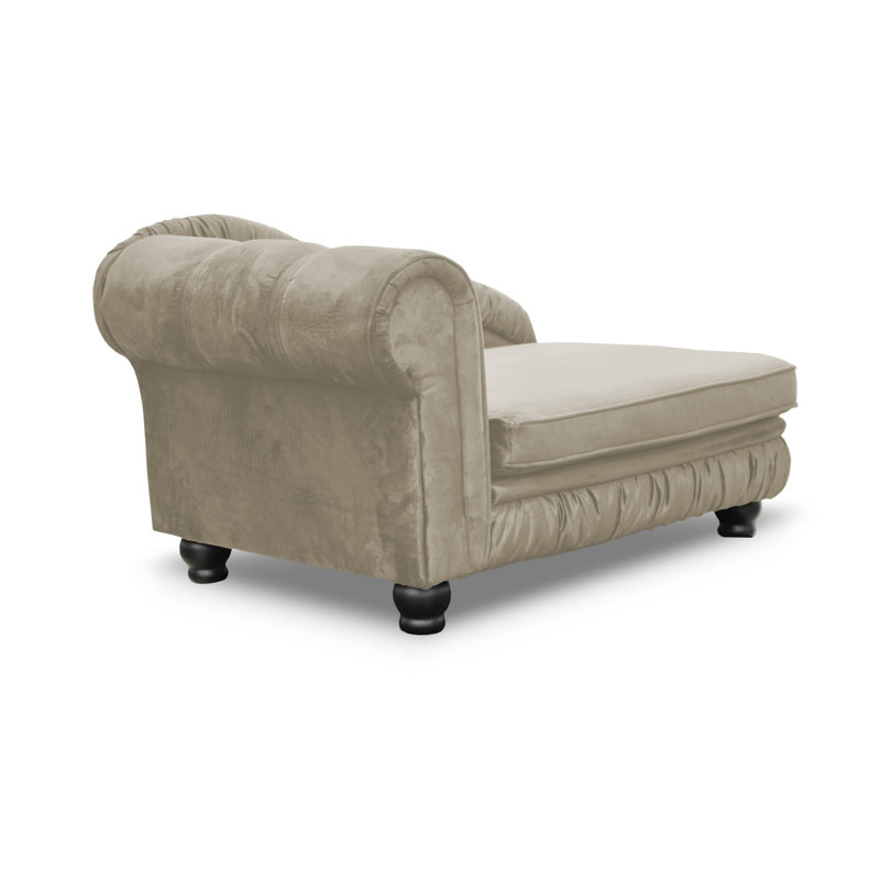 Alana Polyester Pet Bed, Beige