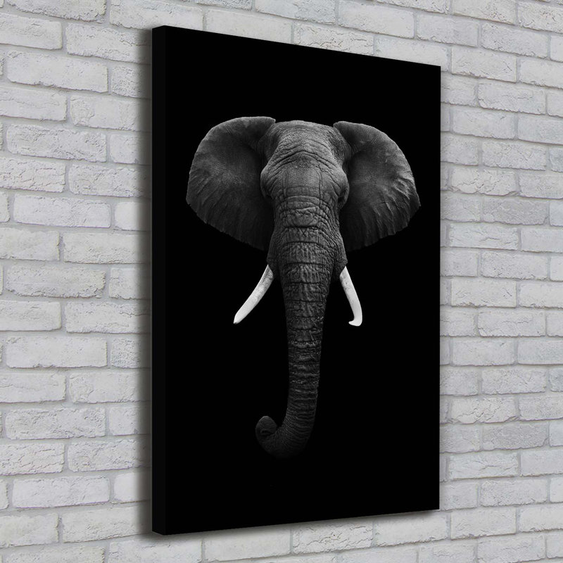 African Elephant - Wrapped Canvas Print