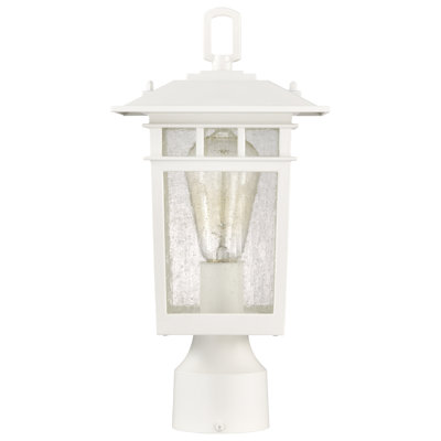 Seeded Lantern Head