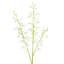 Vaporisateur d'orchidées dansantes-815253585