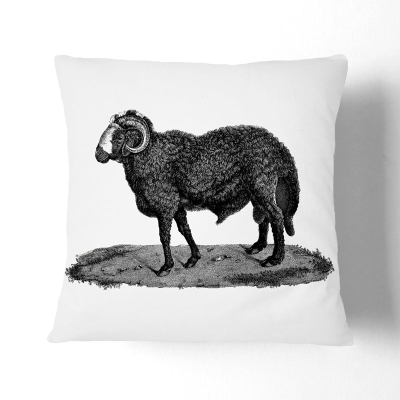 Square Throw Cushion, Black, 40cm H x 40cm W x 15cm D
