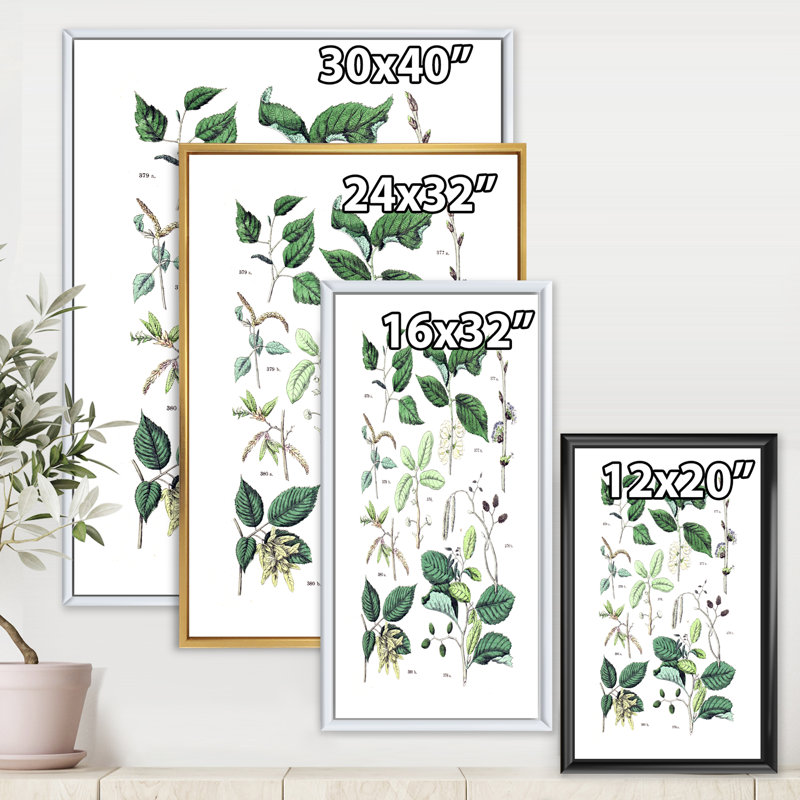 «Vintage Botanicals» - Peinture sur toile, H 20 po x l 12 po x P 1po, Cadre flottant blanc
