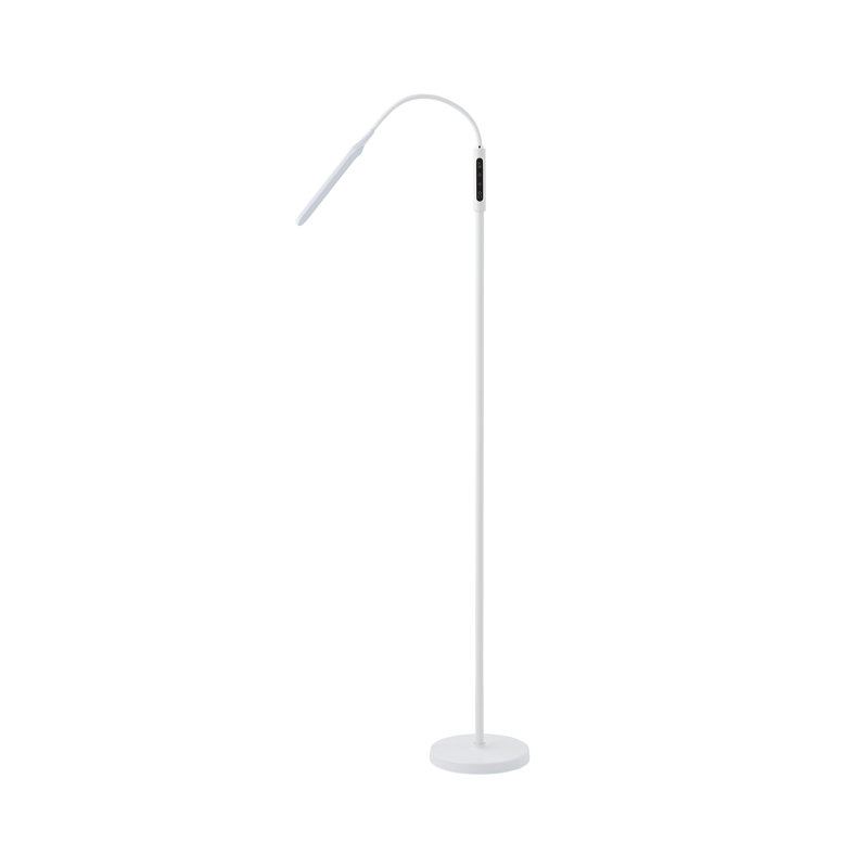 Chaze 19.35cm Powder Coated LED Arched Floor Lamp