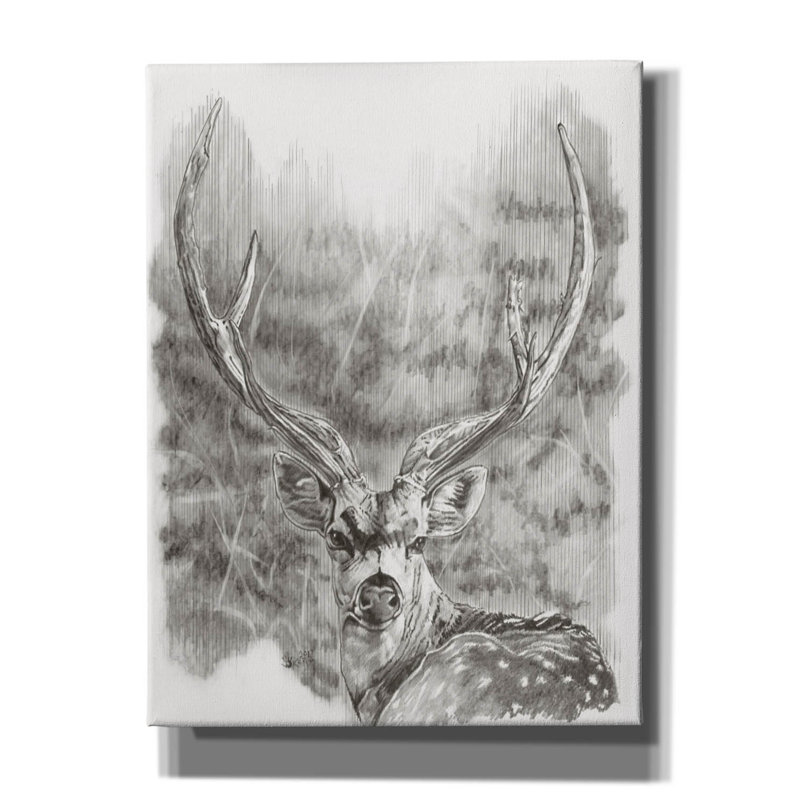«Chital Deer» par Barbara Keith, art mural sur toile, H 16 po x l 12 po x P 0,75 po