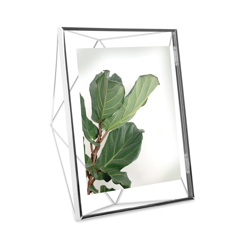 Cadre photo Topawa, Chrome, 8 po x 10 po