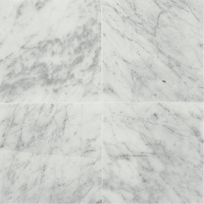 Marble Collection 12" x 12" Lightly Polished Natural Stone Field Tile in Carrara White