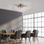 Ahan Spotlight