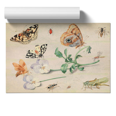 Butterflies and Insects by Jan van Kessel - Frameless Print