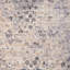 Tapis floral en polypropylène / polyester tissé à la machine Hayat en gris / beige / bleu-2070307422