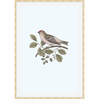 Nesting Navigators Blue 1 Print
