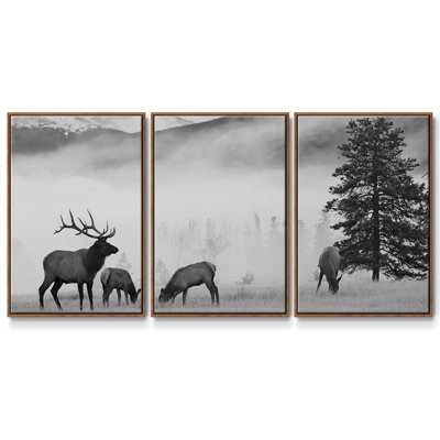 " Mountain Elk " 3 - Pieces