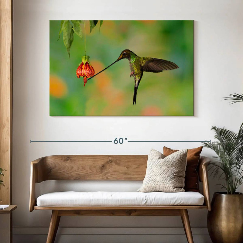 Colibri mangeant du nectar, H 32 po x l 48 po