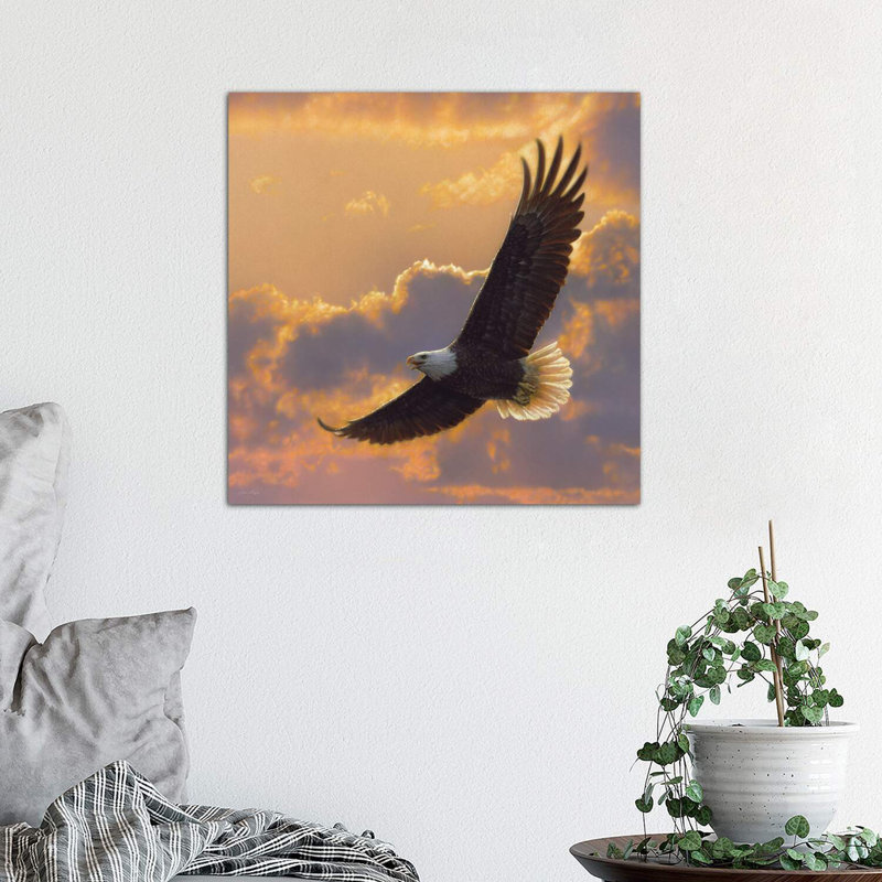 «Soaring Spirit - Bald Eagle» par Collin Bogle Print, Toile tendue, H 18 po x l 18 po x P 1,5 po