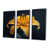Black Floater Framed Canvas selected