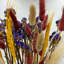 Real Preserved Mixed Bouquets Mix 4 Small - Med - Large-646765771