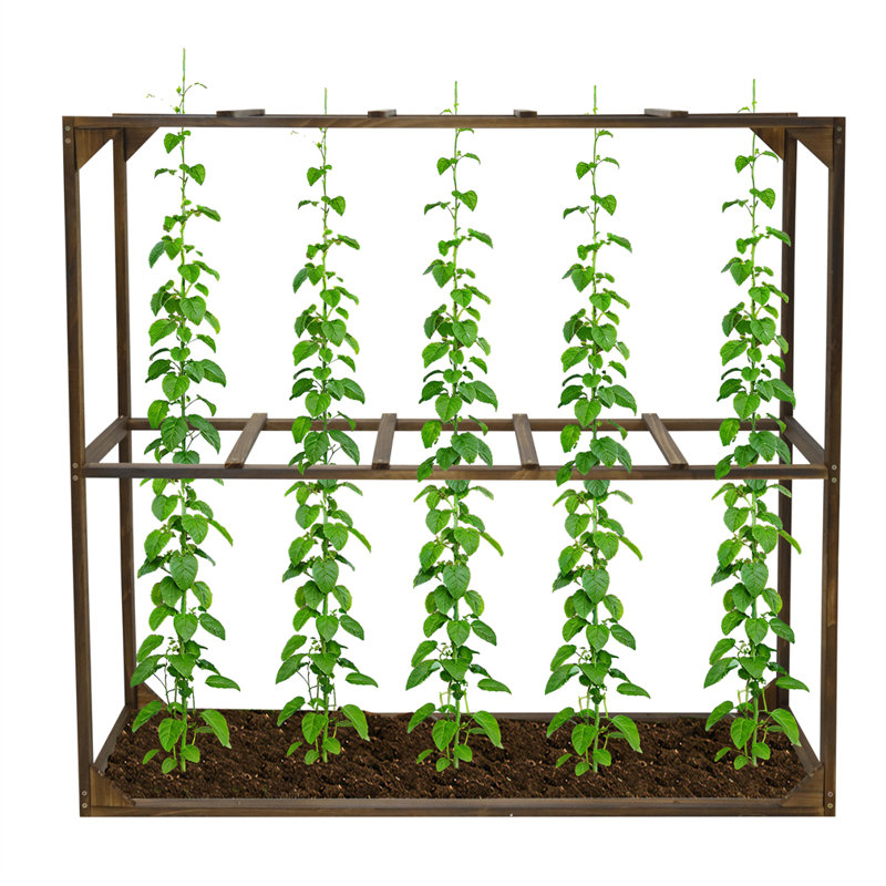 Cadre de support de treillis pour jardin d'extérieur pour légumes grimpants Cadre en bois de tomate canneberge avec 5 cages