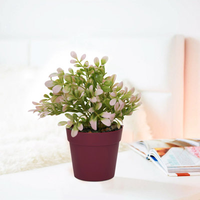 Pot décoratif Cisneros
