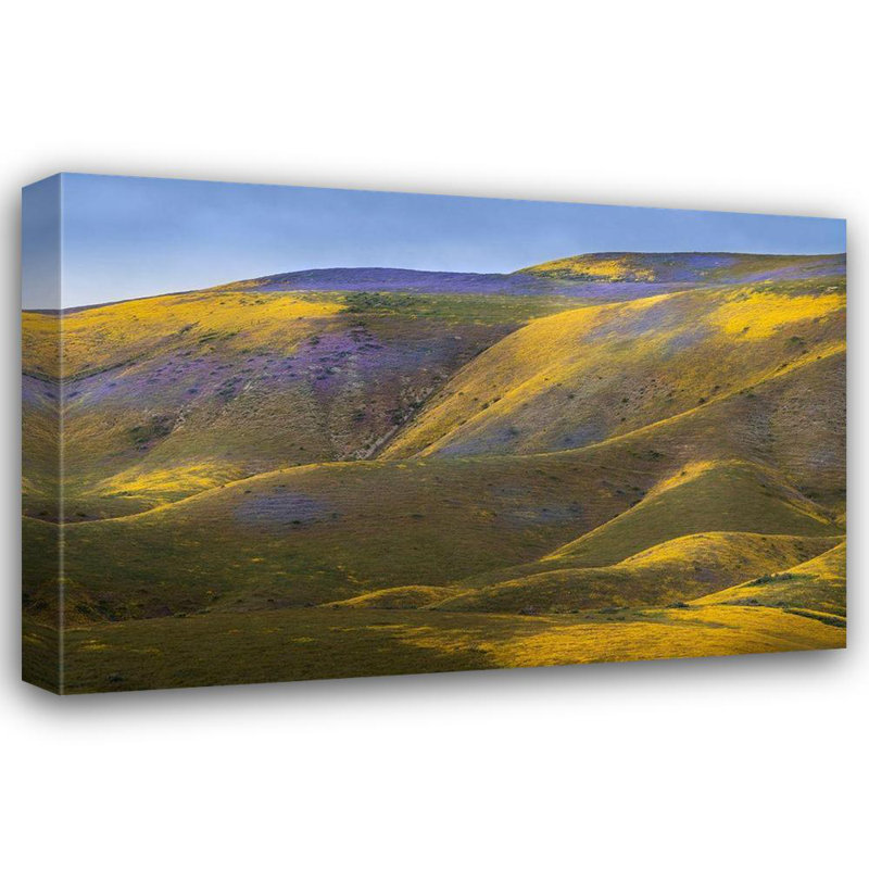 Jaynes Gallery, Monument national de la plaine de Carrizo, Californie, H 33 po x l 48 po