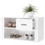 Illughi Polyurethane Upholstered Storage Bench-160669141
