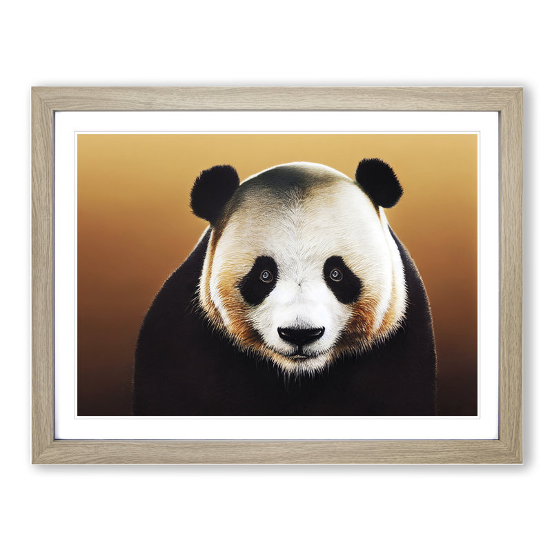 Imaginative Panda - Single Picture Frame Print, 46cm H x 64cm W x 2cm D, Oak