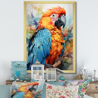 " Orange Blue Parrot Vibrant Plumage "