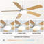 Ventilateur de plafond 42 pouces 5 pales réversible sans fil avec télécommande-813344740-805848035