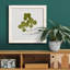 Toile encadrée pressée «Clover II» de qualité supérieure - prête à être accrochée-477127864-477127868