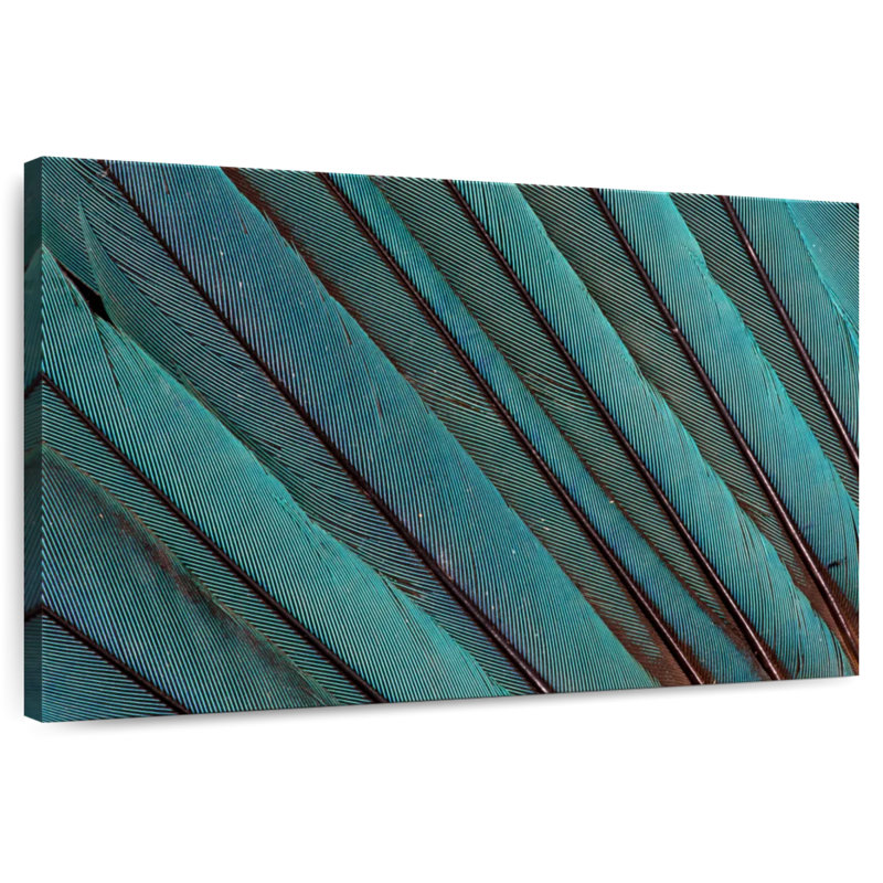Crowle Kingfisher Wing Feathers, 20" H x 30" W