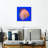 Brampt Exotic Discus Fish-109232162