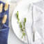 Argon Tableware - Economy Silver Dinner Knives - Rust Resistant Flatware Set of 12