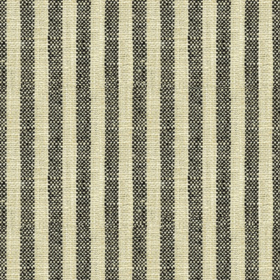Basics Fabric