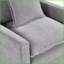 Canapé Comfy à assise simple en chenille - fauteuil de lecture avec coussins décoratifs et amp; Structure en bois massif | Chenille | Bois | Dossier serré-2110835879