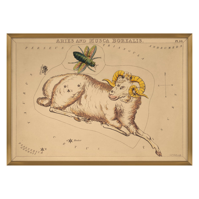 Aries Print by Grand Archives, Gold Framed, 32" H x 45" W