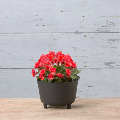 Tyrik Pot Planter