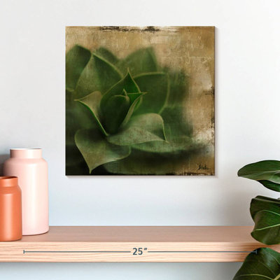 Harnek Succulent II