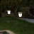 Set of 2 Solar-Powered Leaf Design Hanging Lanterns with Shepherd Hooks