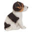 Statue Jack Russel Terrier