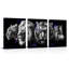 3 Piece Wrapped Canvas Print