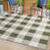 Tereon Checkered Machine Made Power Loom Polypropylene Plastic Indoor/Outdoor Area Rug in Green
