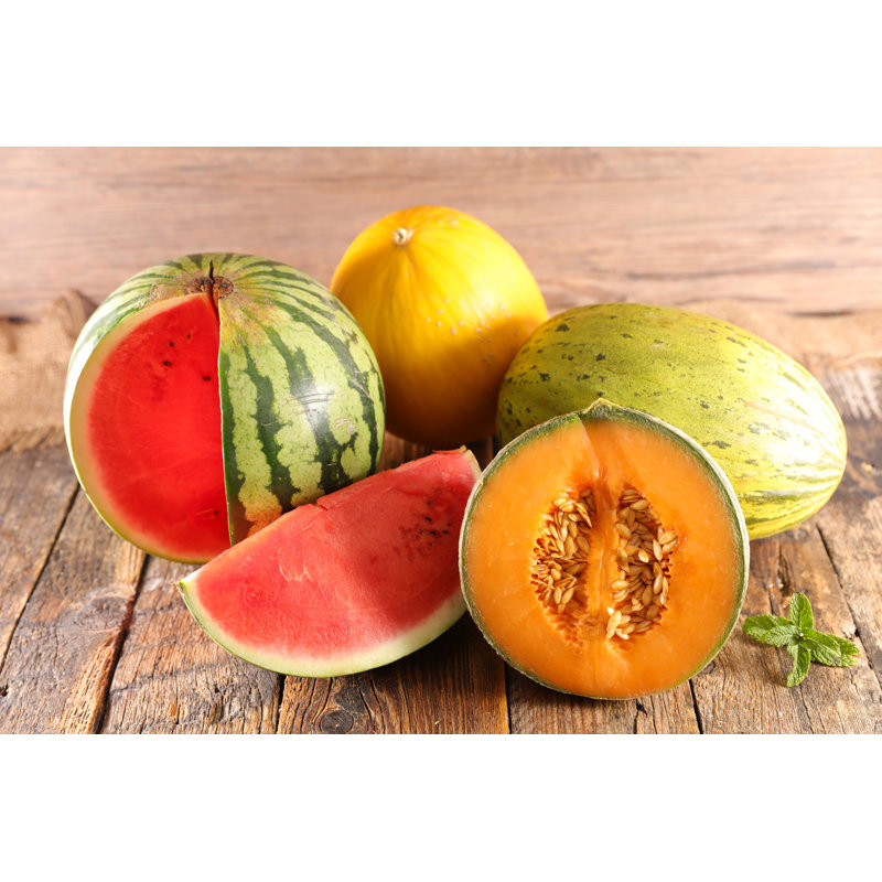Melons by Margouillatphotos - Wrapped Canvas Print, 30cm H x 46cm W x 3.8cm D