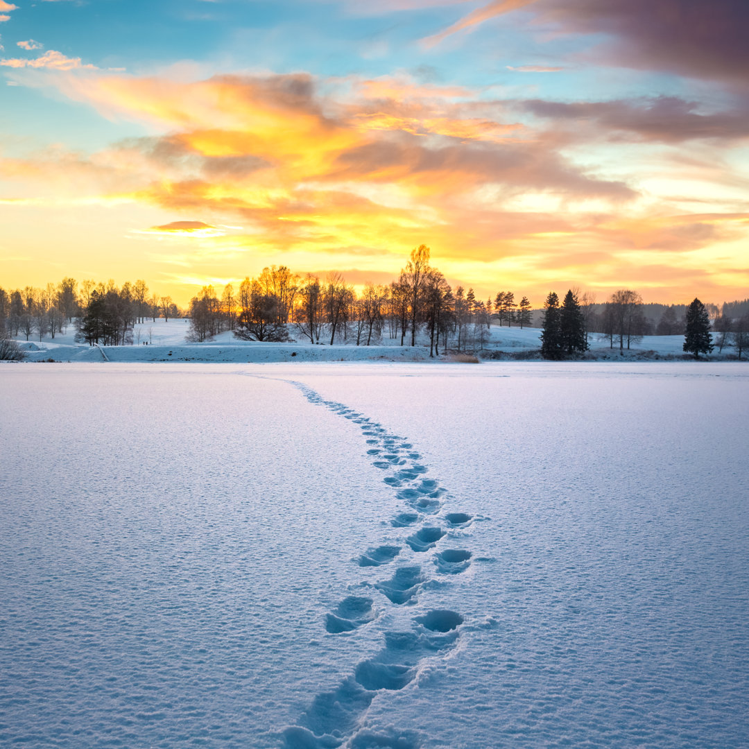 Fußspuren im Schnee bei Sonnenuntergang - Druck