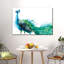Proud Peacock Splash-990378503