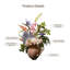 Arrangement floral élégant en composite de style moderne et élégant