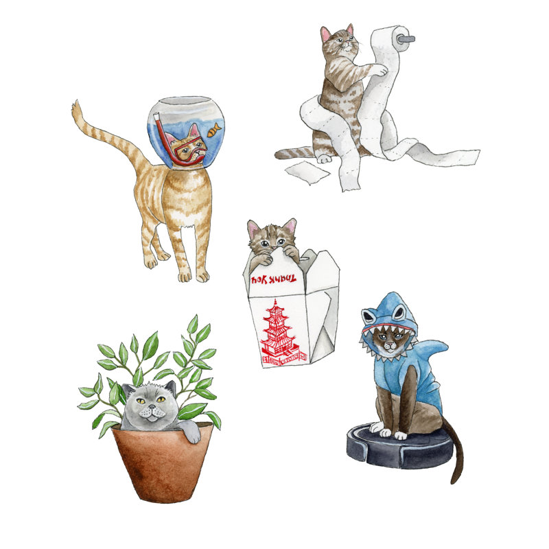 «Cats» par Leah Tedesco sur, Oui, Papier avec cadre photo en érable, H 18 po x l 12 po