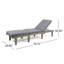 KD BOIS CHAISE LONGE AVEC COUSSIN