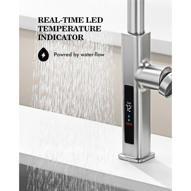 Single Handle Kitchen Faucet with Accessories, Brushed Nickel