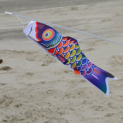 18" Spectrum Koi on Wand